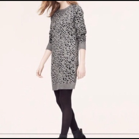 LOFT Leopard Sweater Dress✨ - Picture 2 of 5